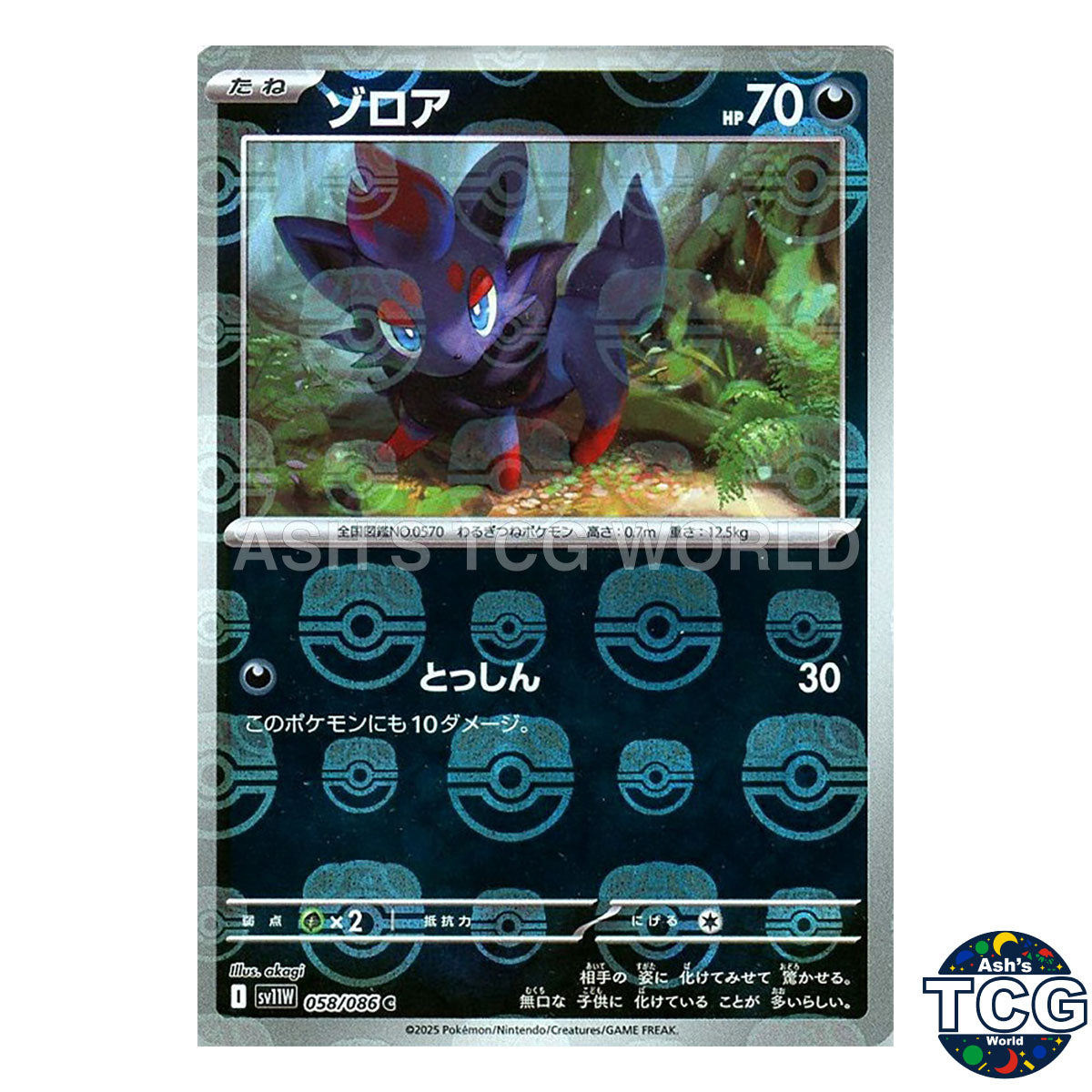 Master Ball Reverse Holo 058/086 SV11W White Flare Pokemon Card Japanese