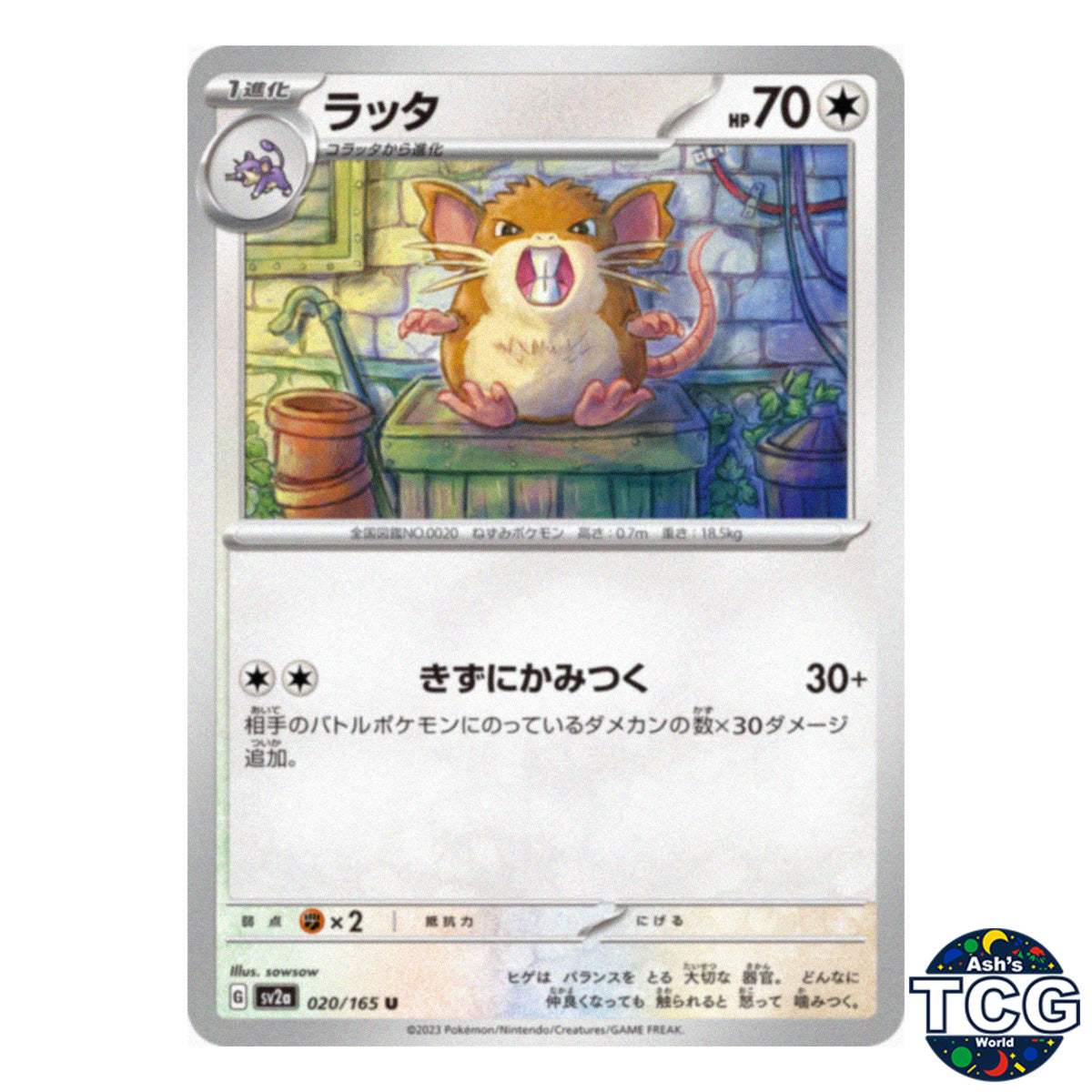 Raticate U 020/165 SV2a 151 Pokemon Card Japanese